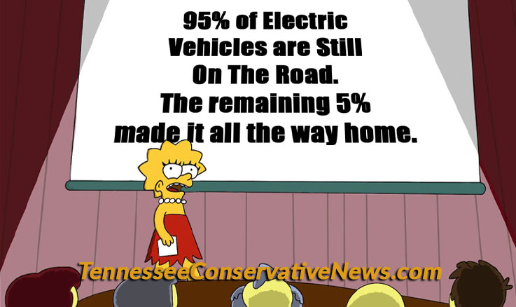 95% of electric vehicles are still on the road. The remaining 5% made it all the way home. Meme Lisa Simpson