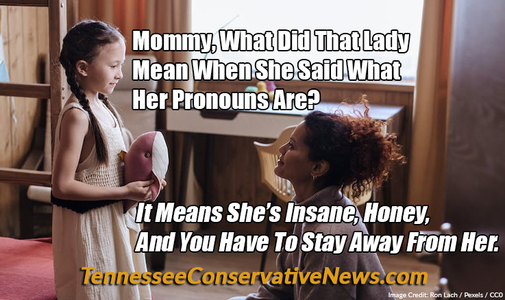 Mommy, What Did That Lady Mean When She Said What Her Pronouns Are? It Means She’s Insane, Honey, And You Have To Stay Away From Her. Meme