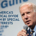 America's Political Divide Driven By Special Interests (Op-ed)