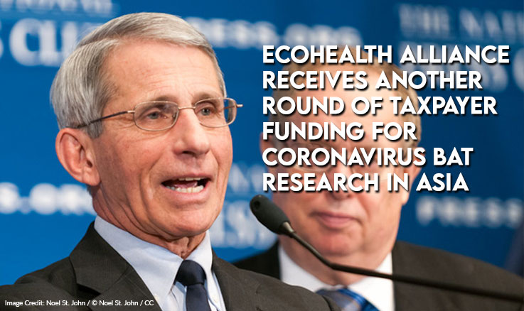 EcoHealth Alliance Receives Another Round Of Taxpayer Funding For Coronavirus Bat Research In Asia