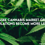 Tennessee Cannabis Market Grows As Regulations Become More Lenient