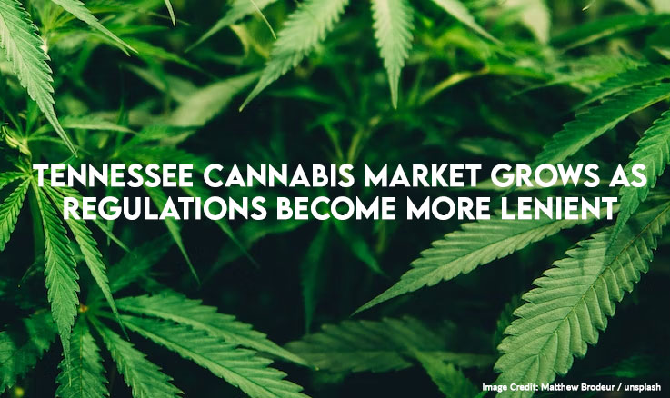 Tennessee Cannabis Market Grows As Regulations Become More Lenient