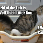 The World Of The Left Is Like A Well-Used Litter Box