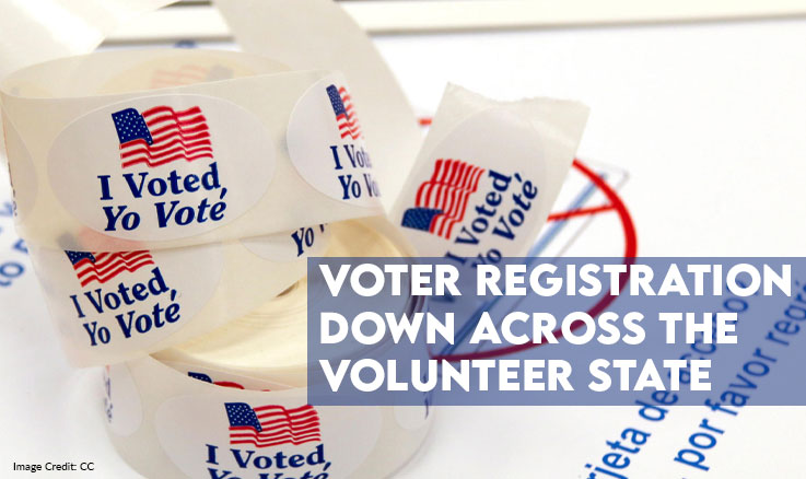 Voter Registration Down Across The Volunteer State