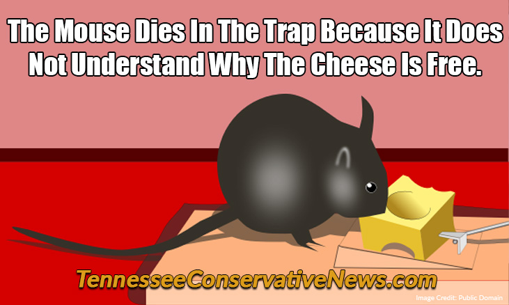 The Mouse Dies In The Trap Because It Does Not Understand Why The Cheese Is Free. - Meme