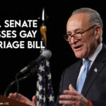 U.S. Senate Passes Gay Marriage Bill