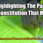 Me Highlighting The Parts Of The Constitution That Matter - Meme