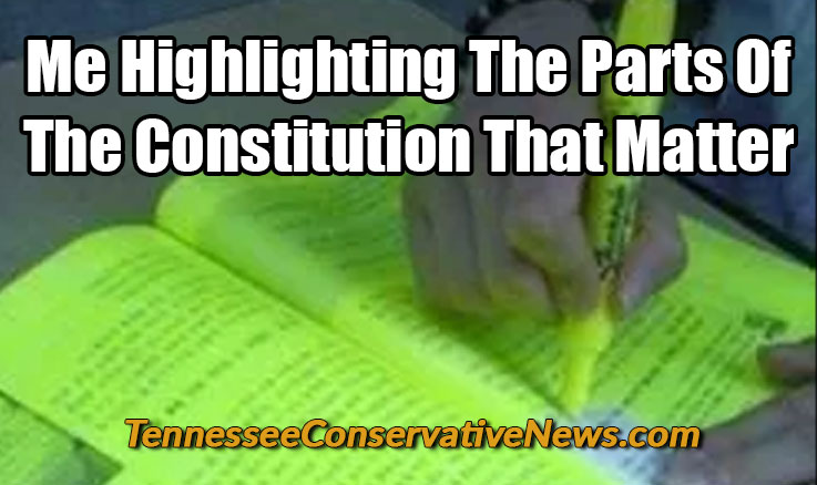 Me Highlighting The Parts Of The Constitution That Matter - Meme