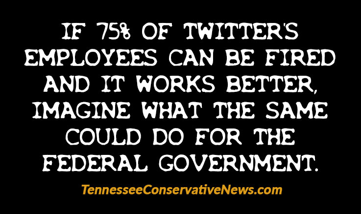 IF 75% OF TWITTER’S EMPLOYEES CAN BE FIRED AND IT WORKS BETTER, IMAGINE WHAT THE SAME COULD DO FOR THE FEDERAL GOVERNMENT. - meme