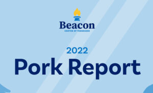 Pork Report Says $1 million Plus A Year Of Tax Dollars Spent To Fund Lobbying Efforts