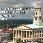 House And Senate Committees To Consider Bill To Ban Drag Shows For TN Children