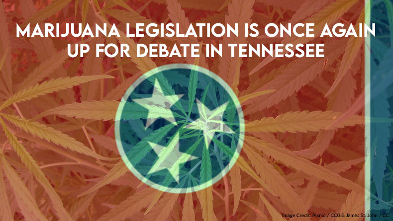 Marijuana Legislation Is Once Again Up for Debate in Tennessee