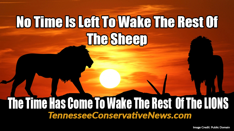 No Time Is Left To Wake The Rest Of The Sheep ... The Time Has Come To Wake The Rest Of The LIONS - meme