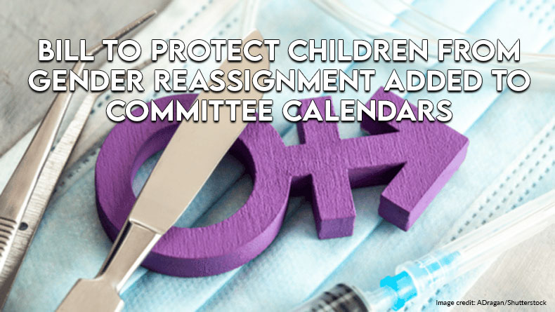 Bill To Protect Children From Gender Reassignment Added To Committee Calendars