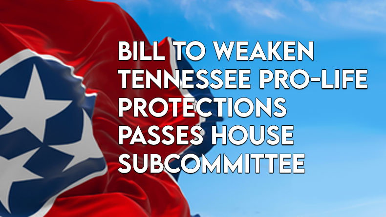 Bill To Weaken Tennessee Pro-Life Protections Passes House Subcommittee