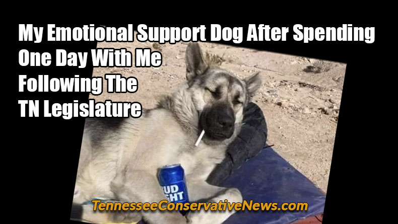 My Emotional Support Dog After Spending One Day With Me Following The Tennessee Legislature - Meme