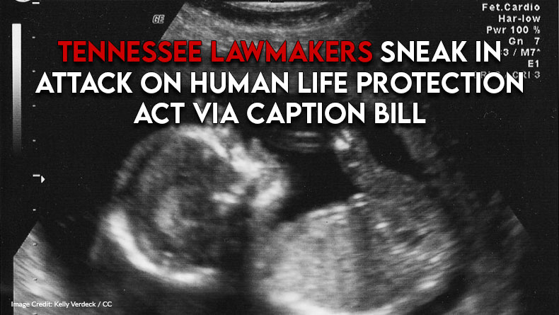 Tennessee Lawmakers Sneak In Attack On Human Life Protection Act Via Caption Bill