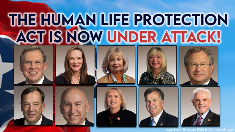 The Human Life Protection Act Is Now Under Attack!