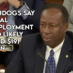 Watchdogs say federal unemployment fraud likely topped $191 billion