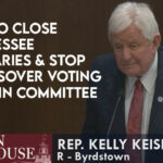 Bill To Close Tennessee Primaries And Stop Crossover Voting Fails In Committee