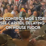 Gun Control Mob Storms Tennessee Capitol Delaying Action On House Floor