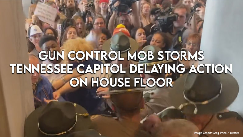 Gun Control Mob Storms Tennessee Capitol Delaying Action On House Floor