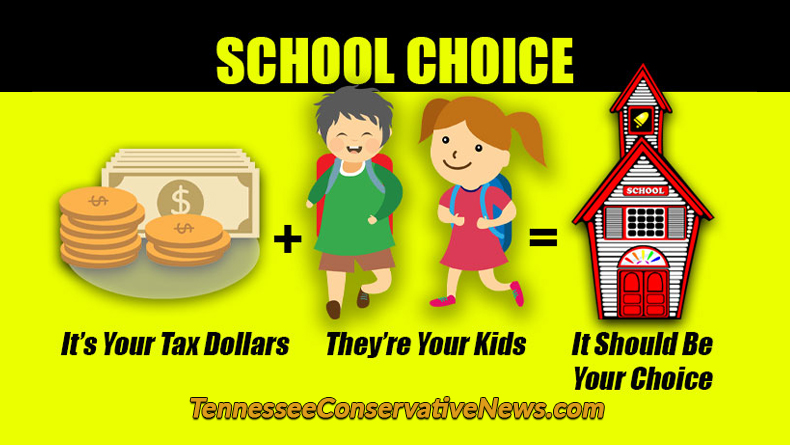 SCHOOL CHOICE It's Your Tax Dollars They're Your Kids It Should Be Your Choice - Meme