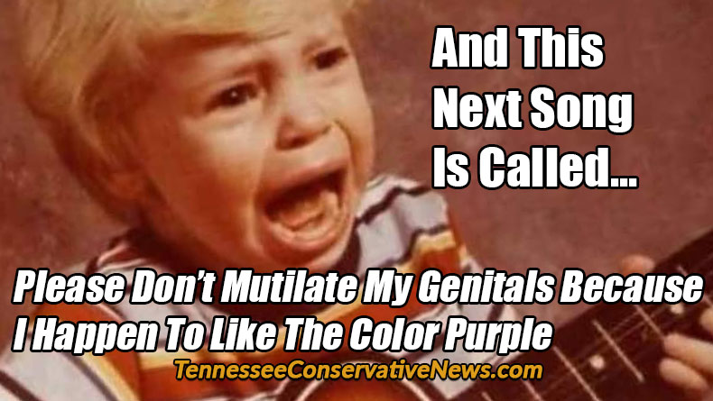 And This Next Song Is Called... Please Don’t Mutilate My Genitals Because I Happen To Like The Color Purple - Meme