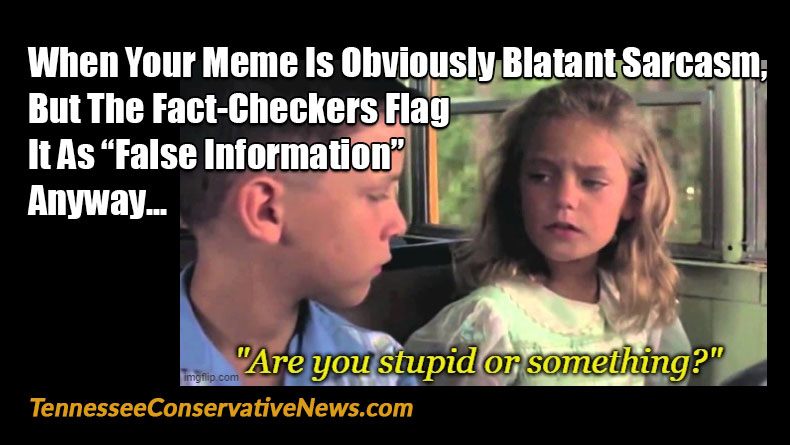 When Your Meme Is Obviously Blatant Sarcasm, But The Fact-Checkers Flag It As “False Information” Anyway... Are You Stupid or Something? - Meme