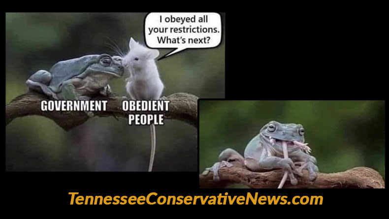 Government - Obedient People - I Obeyed All Your Restrictions, What's Next? - Meme