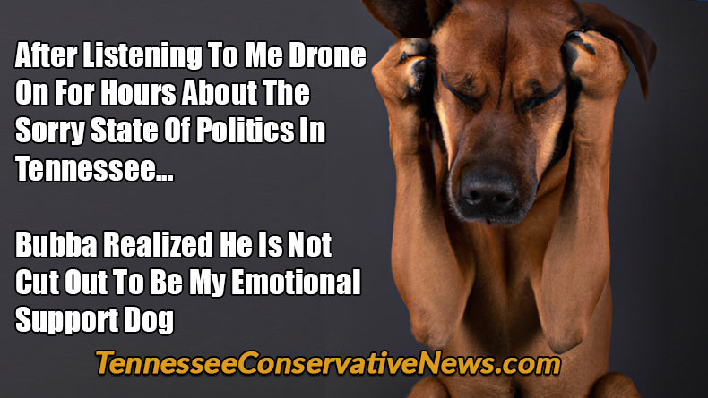 After Listening To Me Drone On For Hours About The Sorry State Of Politics In Tennessee... Bubba Realized He Is Not Cut Out To Be My Emotional Support Dog - Meme