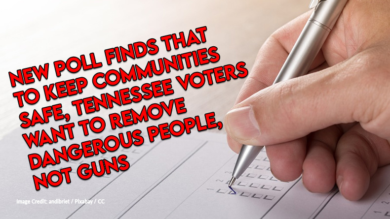 New Poll Finds That To Keep Communities Safe, Tennessee Voters Want To Remove Dangerous People, Not Guns