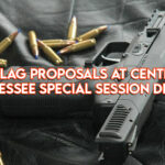 Red Flag Proposals At Center Of Tennessee Special Session Debate