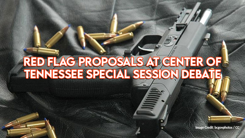 Red Flag Proposals At Center Of Tennessee Special Session Debate