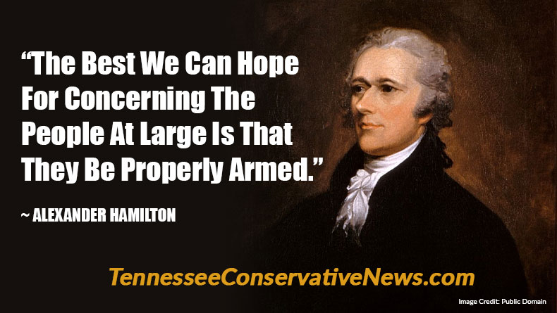 “The Best We Can Hope For Concerning The People At Large Is That They Be Properly Armed." Alexander Hamilton Quote Meme