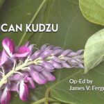 American Kudzu (Op-Ed By James V. Ferguson, MD)