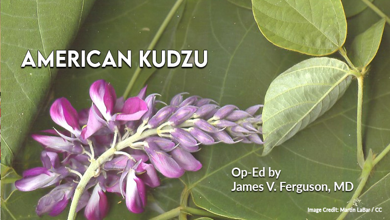 American Kudzu (Op-Ed By James V. Ferguson, MD)