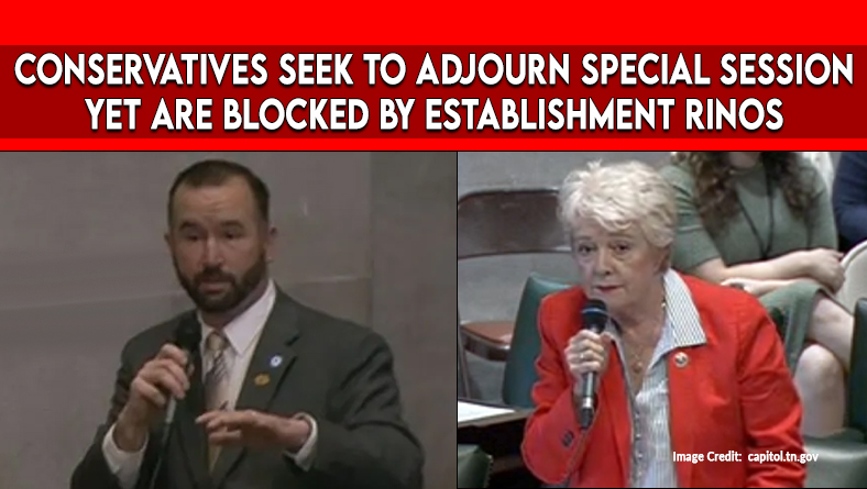 Conservatives Seek To Adjourn Special Session Yet Are Blocked By Establishment RINOs