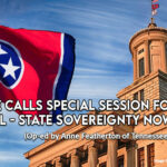 Gov. Lee Calls Special Session For Gun Control - State Sovereignty Now At Risk