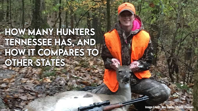 How Many Hunters Tennessee Has, And How It Compares To Other States