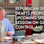 Republican Senator Drafts Proposal For Upcoming Special Session On Gun Control And Safety