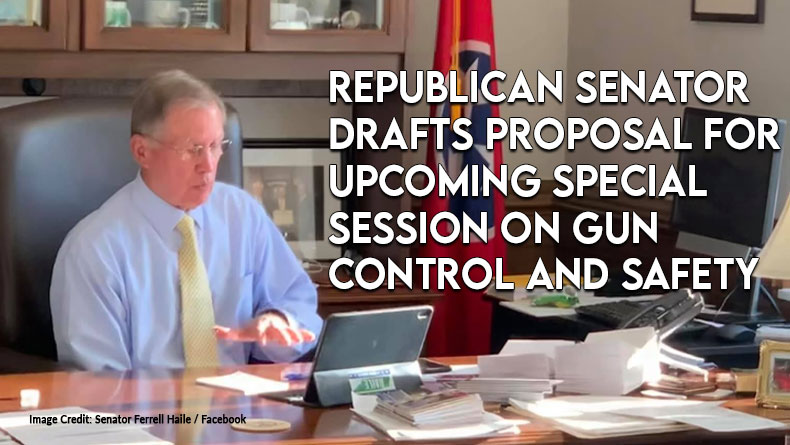 Republican Senator Drafts Proposal For Upcoming Special Session On Gun Control And Safety