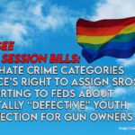 Special Session Bills: New Hate Crime Categories, Police’s Right To Assign SROs, Reporting To Feds About Mentally “Defective” Youth, Protection For Gun Owners