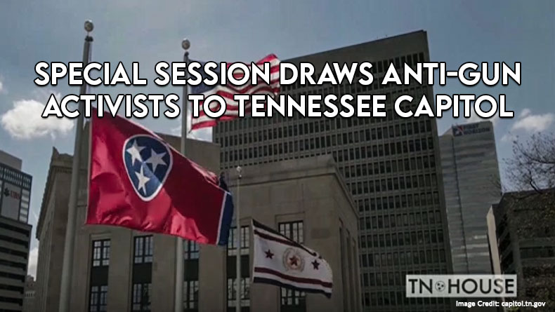 Special Session Draws Anti-Gun Activists To Tennessee Capitol