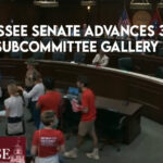 Tennessee Senate Advances 3 Bills, House Subcommittee Gallery Emptied