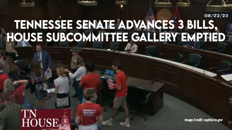 Tennessee Senate Advances 3 Bills, House Subcommittee Gallery Emptied