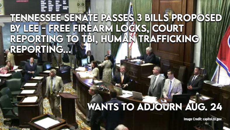 Tennessee Senate Passes 3 Bills Proposed By Lee - Free Firearm Locks, Court Reporting To TBI, Human Trafficking Reporting - Wants To Adjourn Aug. 24