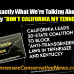 This Is Exactly What We’re Talking About When We Say “DON’T CALIFORNIA MY TENNESSEE!” - Meme