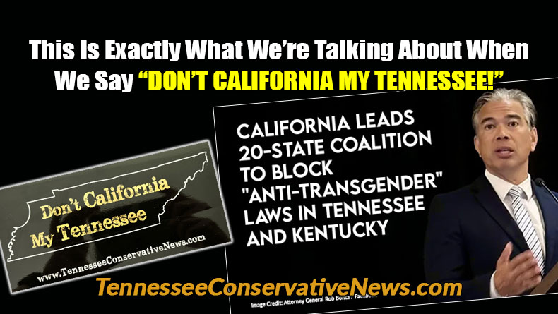 This Is Exactly What We’re Talking About When We Say “DON’T CALIFORNIA MY TENNESSEE!” - Meme