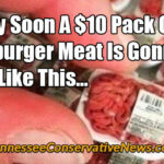 Pretty Soon A $10 Pack Of Hamburger Meat Is Gonna Look Like This... Tiny Food Meme